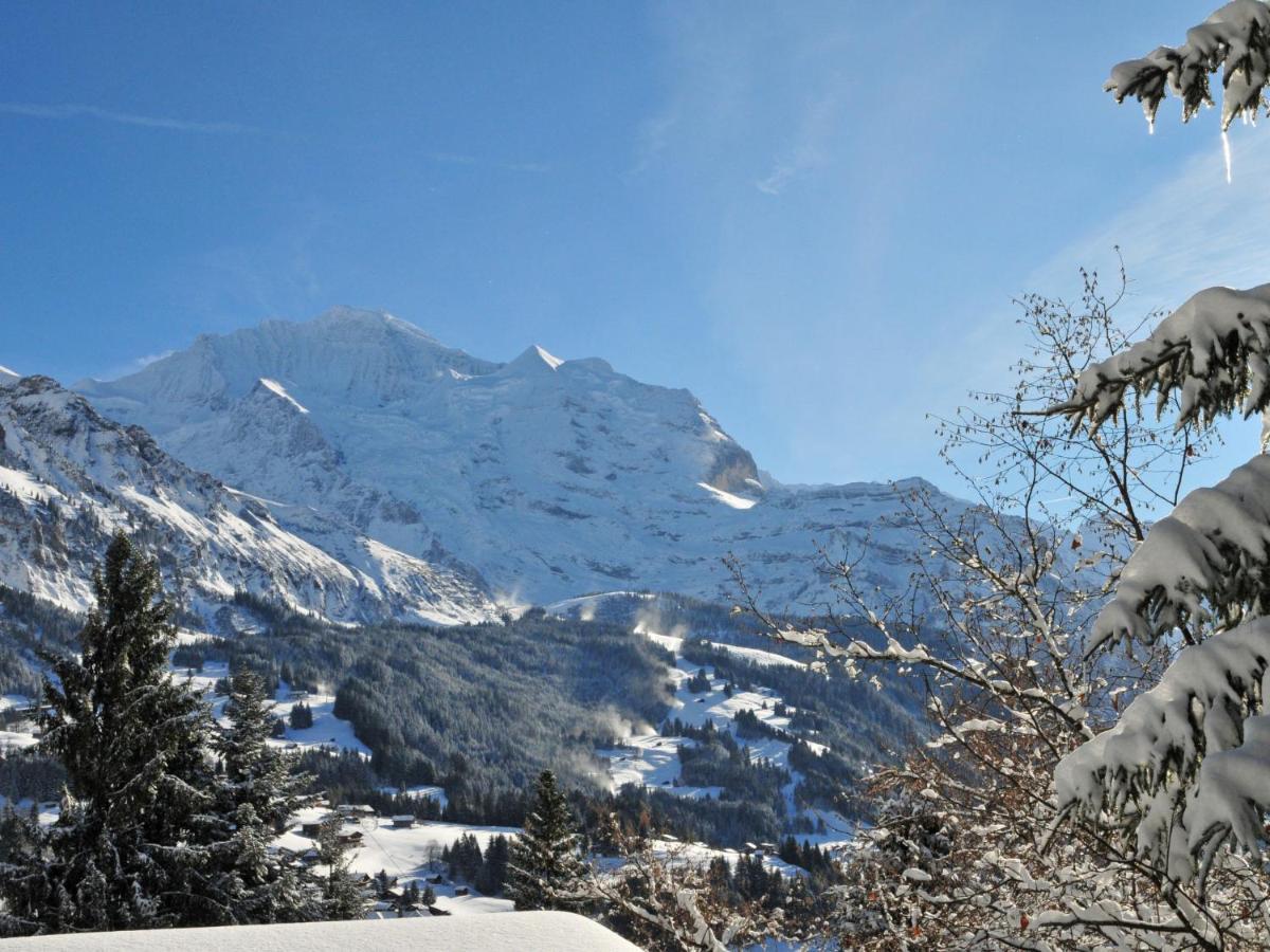 Apartment Helene-3 Wengen Buitenkant foto