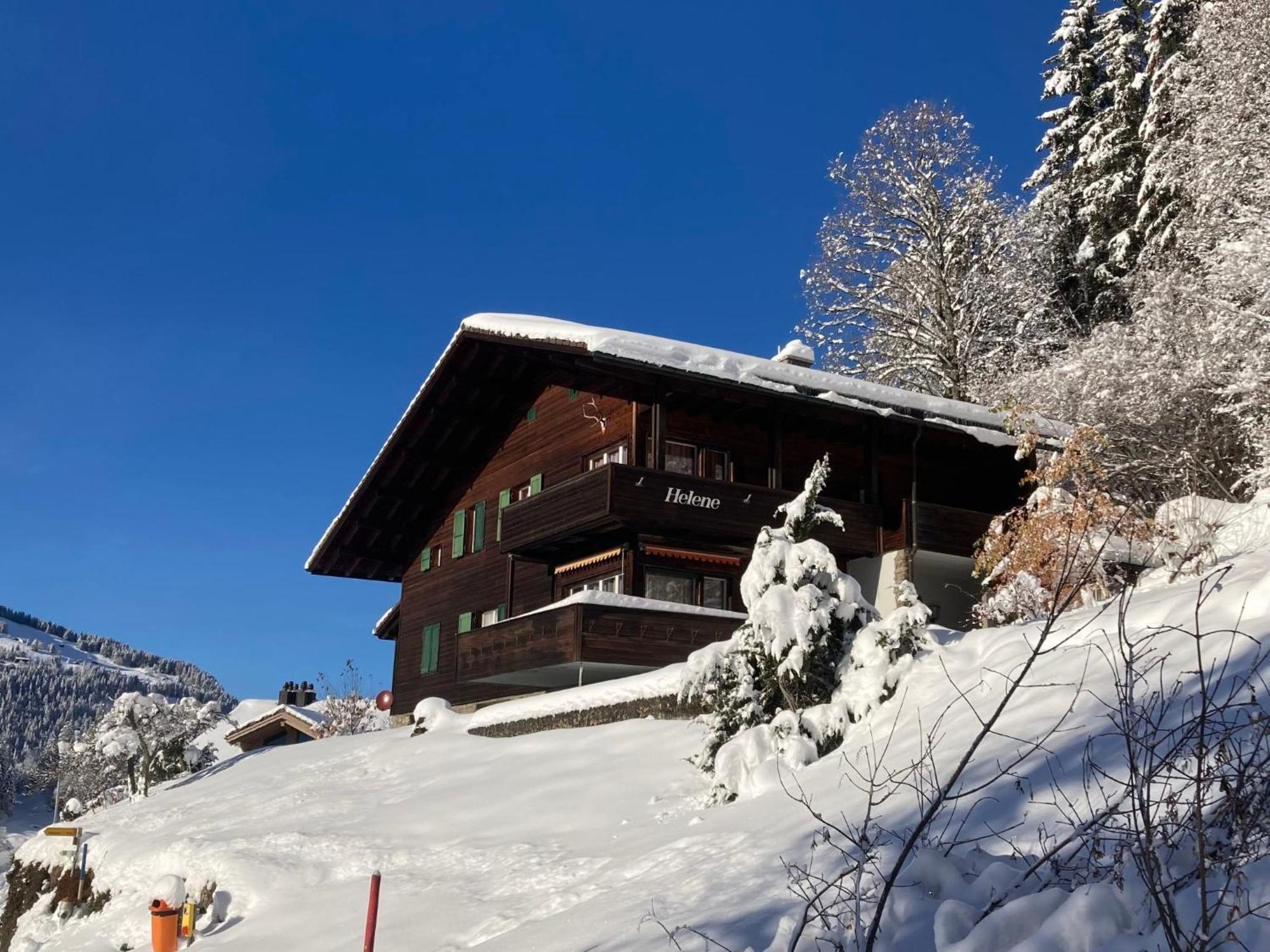 Apartment Helene-3 Wengen Buitenkant foto