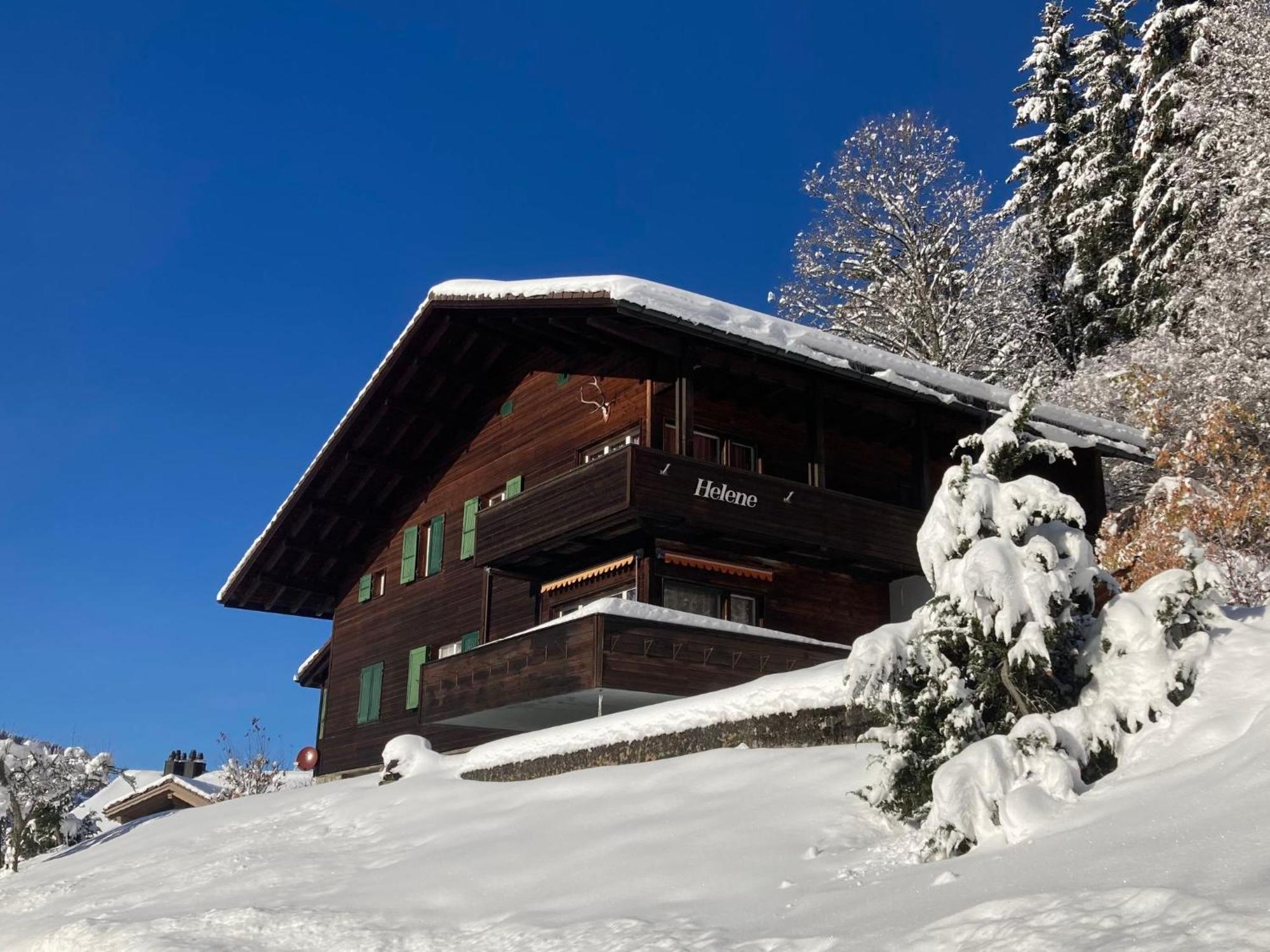 Apartment Helene-3 Wengen Buitenkant foto